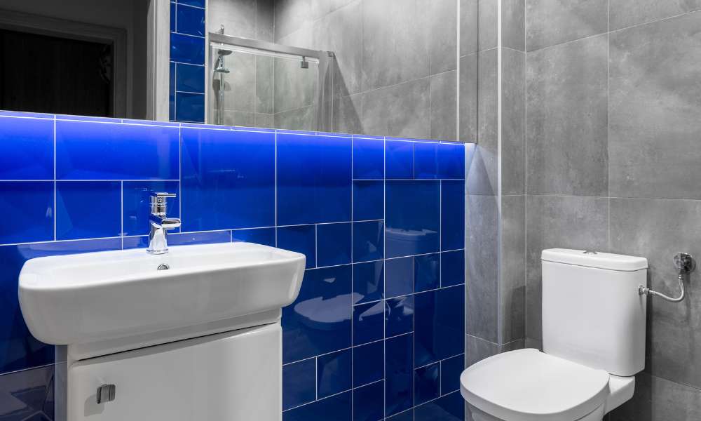 Blue And Grey Bathroom