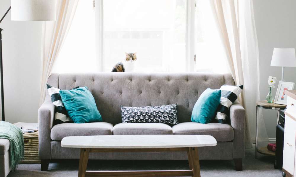 Decorate Living Room With Grey Sofa