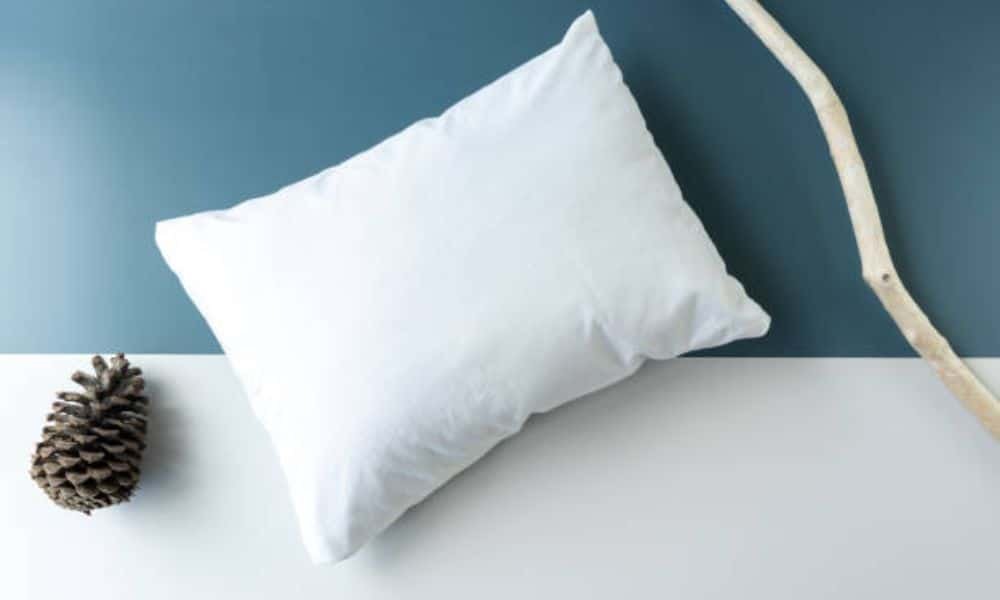 How To Clean Buckwheat Pillow