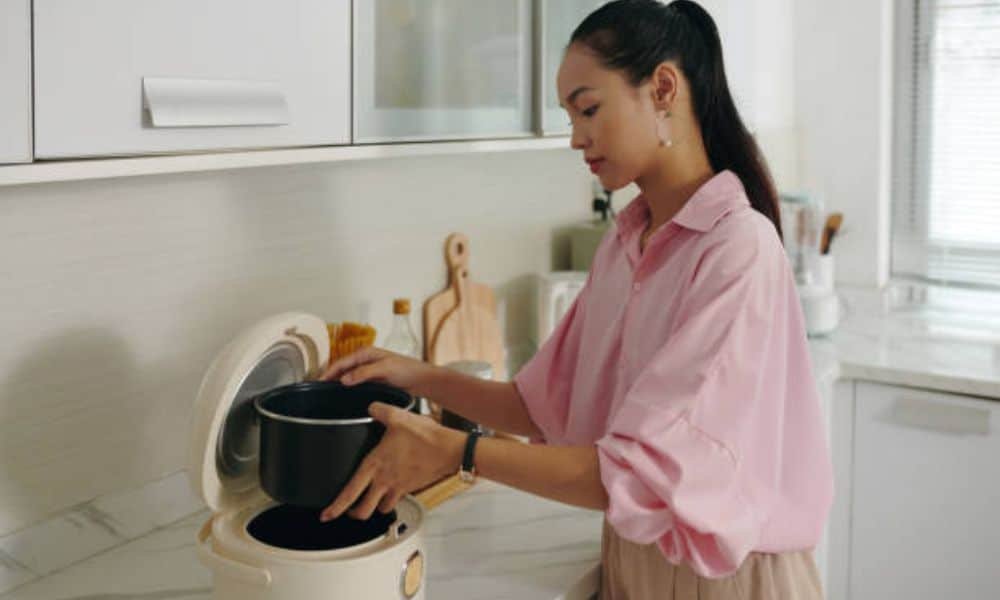 Rice Cooker Common Problems And Solutions