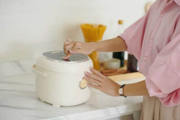 Inspect The Rice Cooker Switch