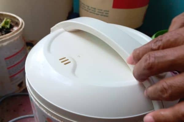 Rice Cooker Not Turning On